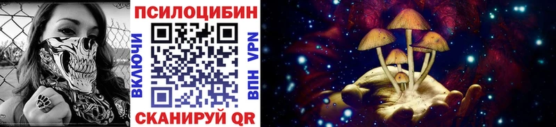 Галлюциногенные грибы мицелий  KRAKEN как войти  Судак 